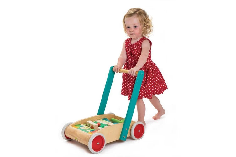 Tender Leaf Baby Block Walker