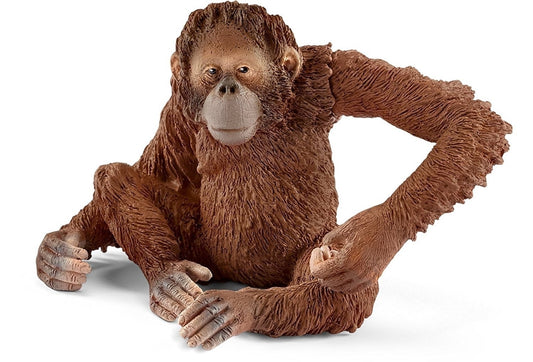 Schleich Orangutan Female - The Toy Station