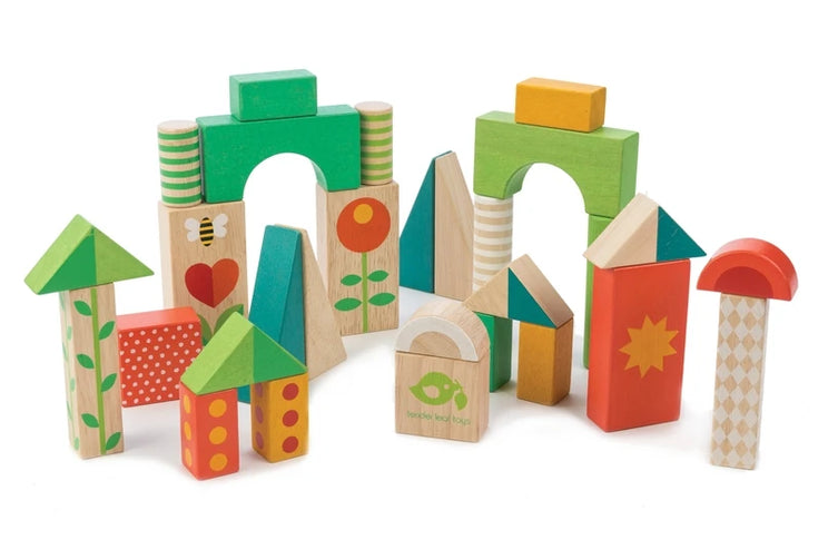 Tender Leaf Baby Block Walker