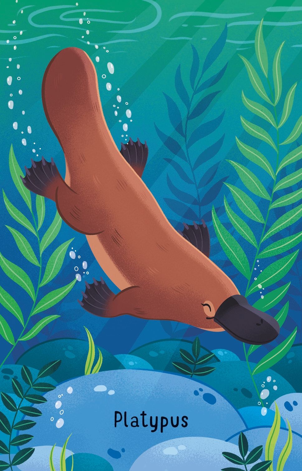 Usborne Australian Animals Snap