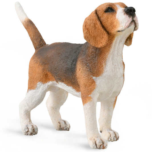 Collecta Beagle