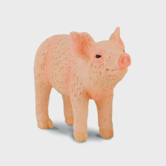 Collecta Piglet Smelling