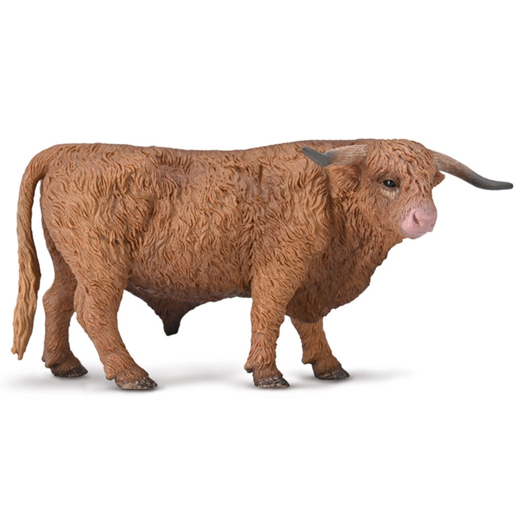 Highland Bull