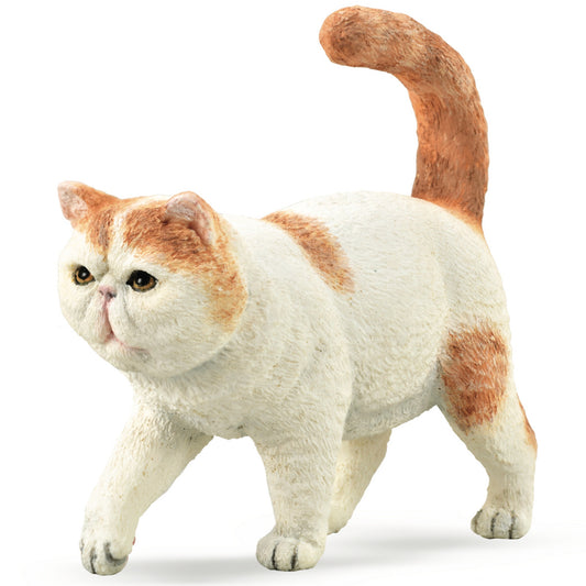 Collecta Exotic Shorthair Cat