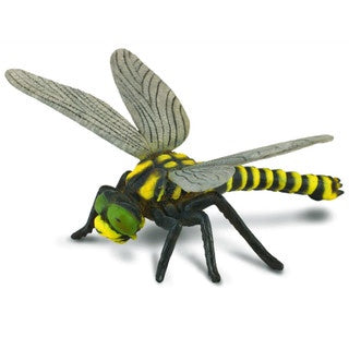 Golden Ringed Dragonfly - The Toy Station