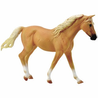 Missouri Fox Trotter Mare - Palomino