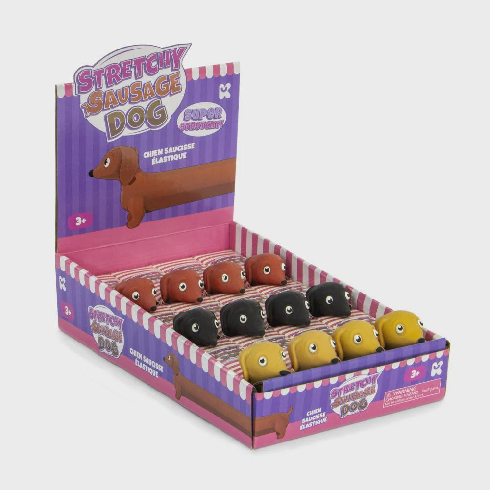 Stretchy Sausage Dog in Box