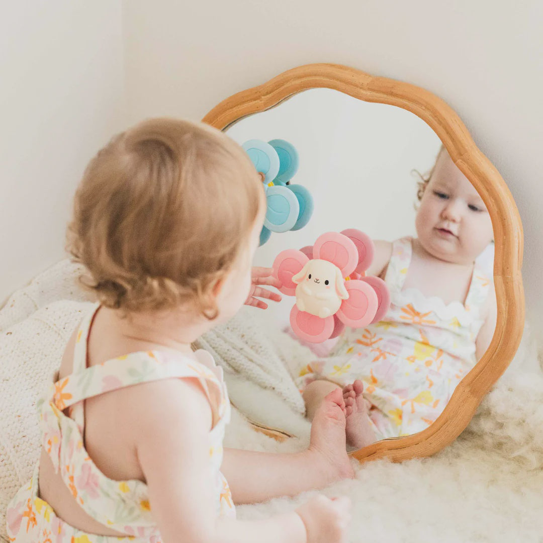 Sensory Spinner