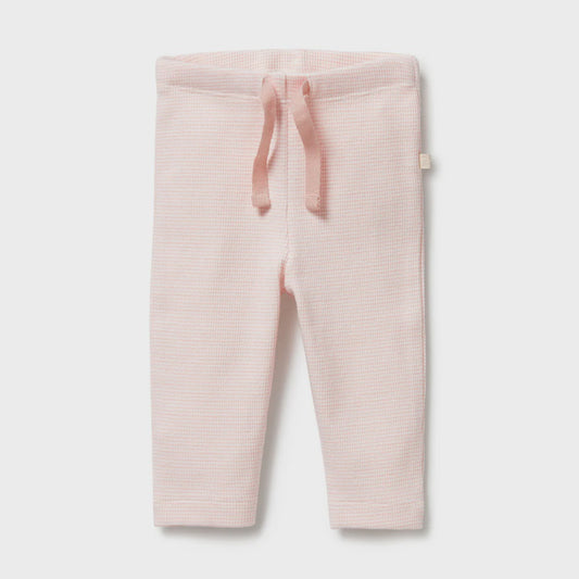 Organic Stripe Rib Legging - Cantaloupe - The Toy Station