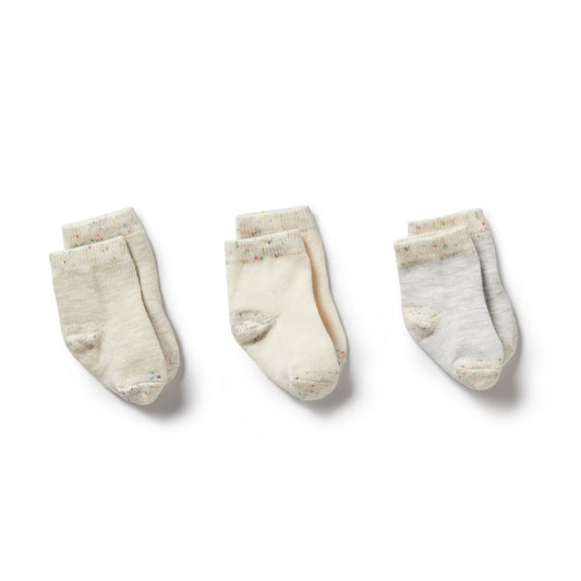 Wilson & Frenchy 3 Pack Baby Socks - The Toy Station