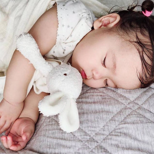 Bun Bun Bye Bye Buddy - The Toy Station