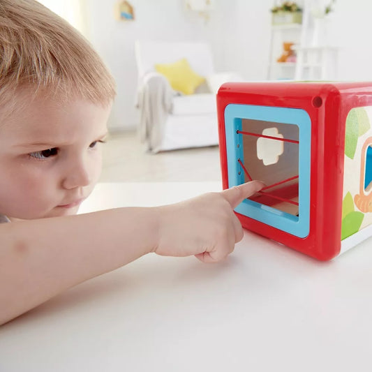 Hape Shape Sorting Box - The Toy Station