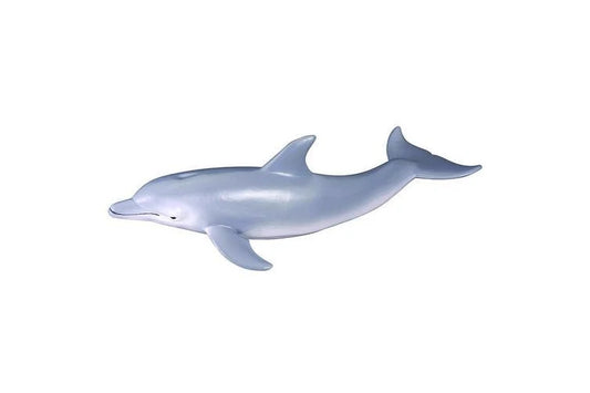 Bottle Nose Dolphin