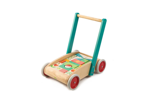 Tender Leaf Baby Block Walker