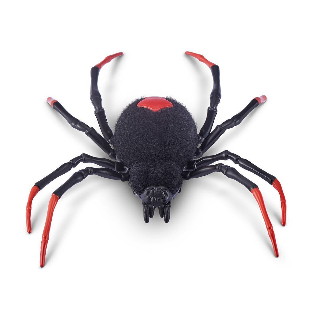 Robo Alive Crawling Spider - The Toy Station