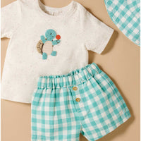 Lagoon Gingham Tee and Short Set