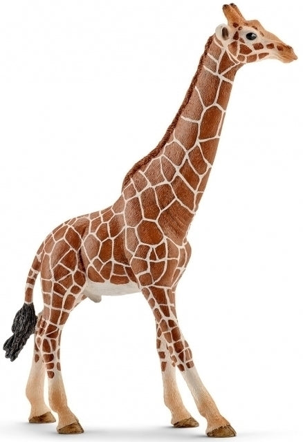 Schleich Giraffe Male - The Toy Station