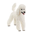 Schleich Poodle - The Toy Station
