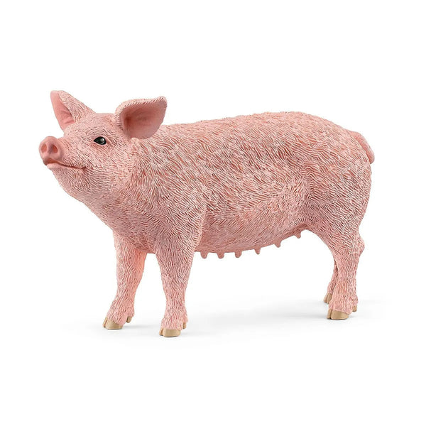 Schleich Pig 22