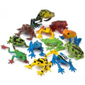 Wild Republic Nature Tube Frogs - The Toy Station