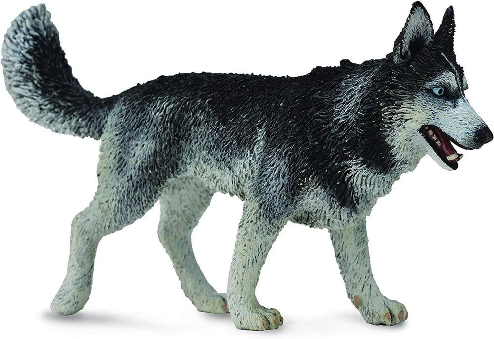 Collecta Siberian Husky - The Toy Station