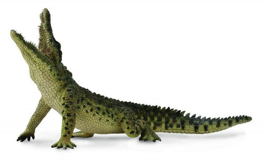 Nile Crocodile - Leaping