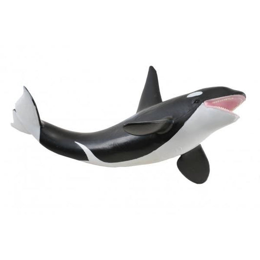 Orca
