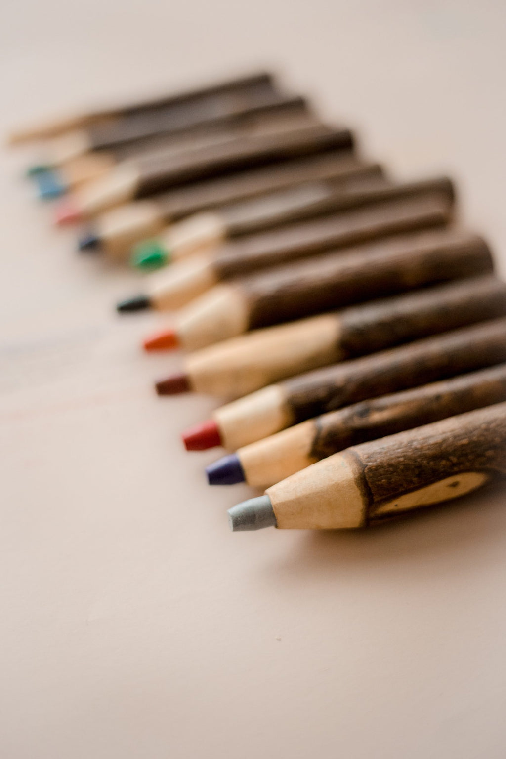 Tree Coloured Pencil set