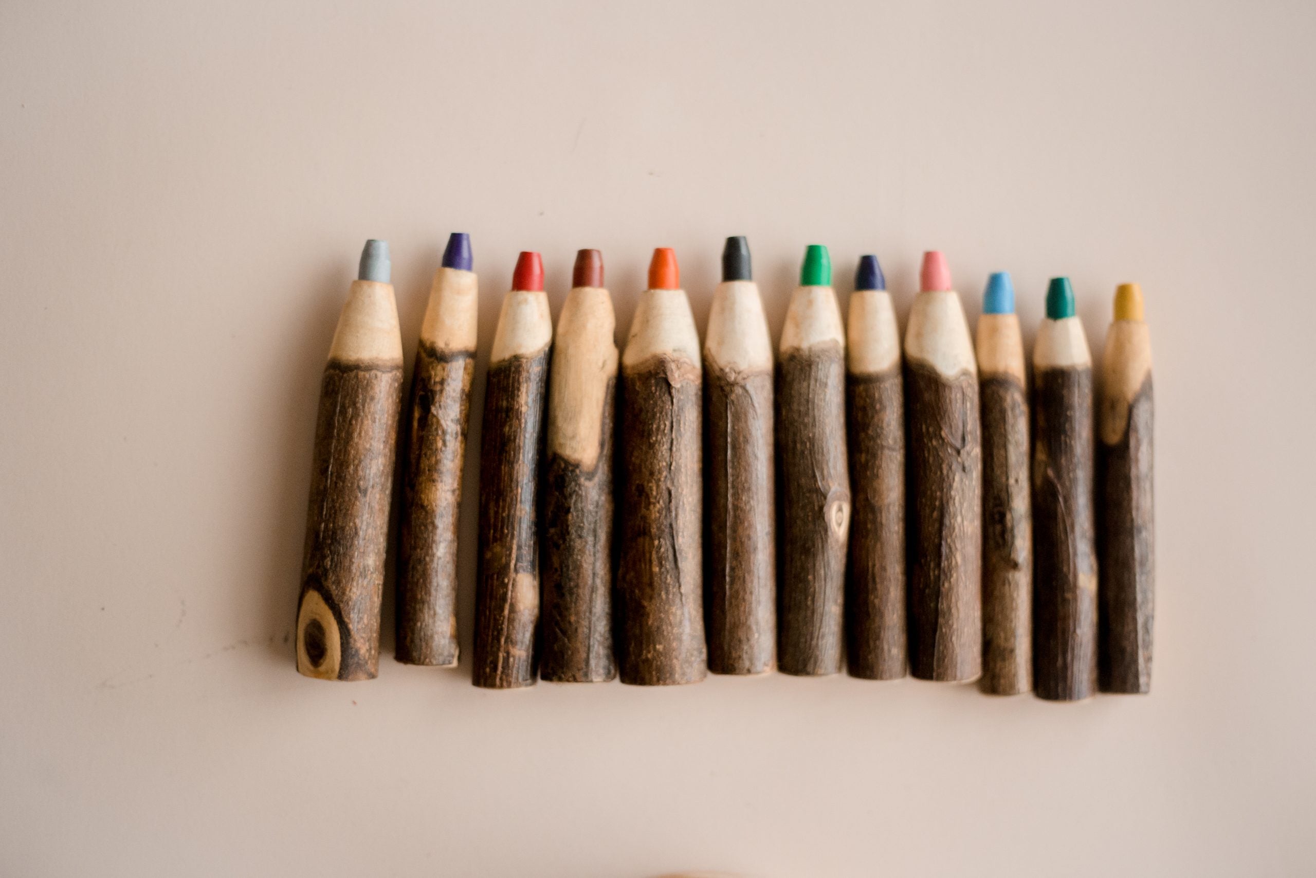 Tree Coloured Pencil set