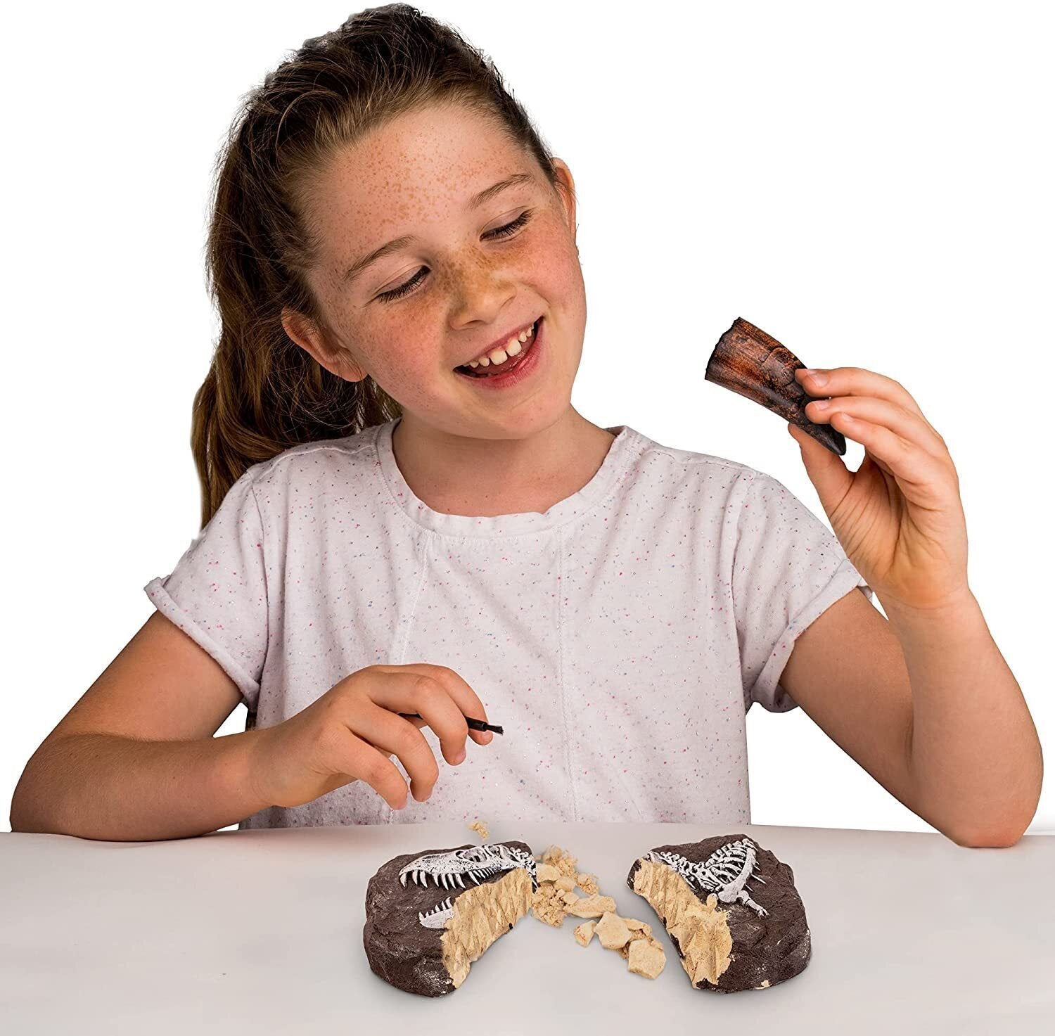 National Geographic Dinosaur Dig Kit - The Toy Station