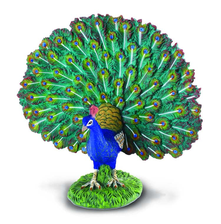 Peacock - The Toy Station