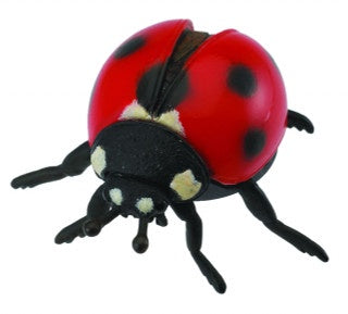 Ladybird - The Toy Station