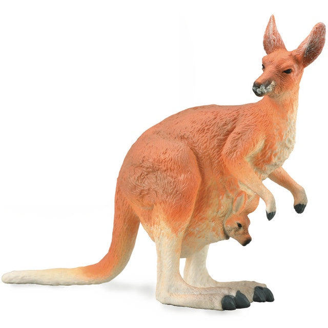 Red Kangaroo - Female with Joey
