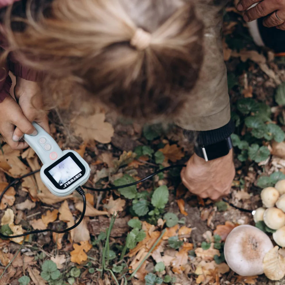 Kidywolf - Kidy-explore