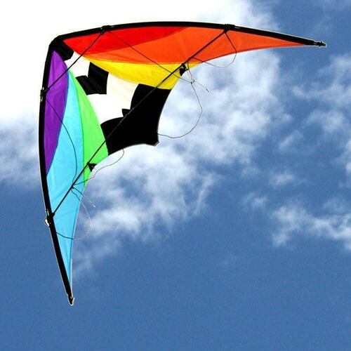 Windspeed Kites Dual Control Stuntmaster