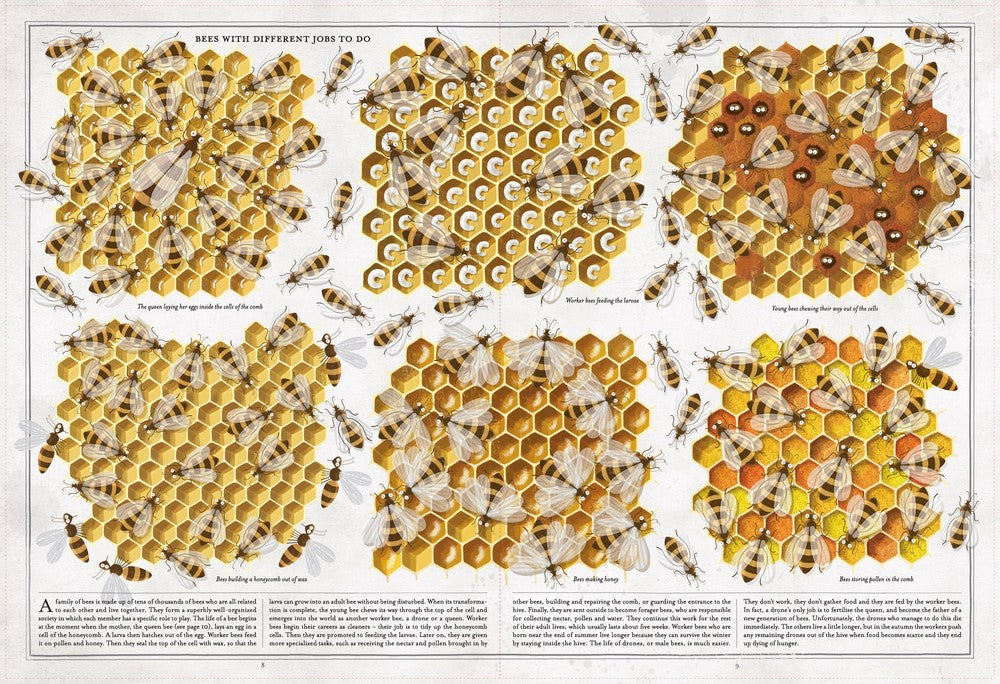 The Book of Bees - The Toy Station