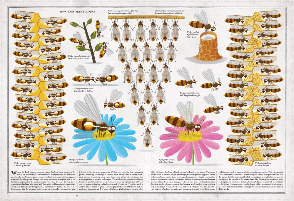 The Book of Bees - The Toy Station