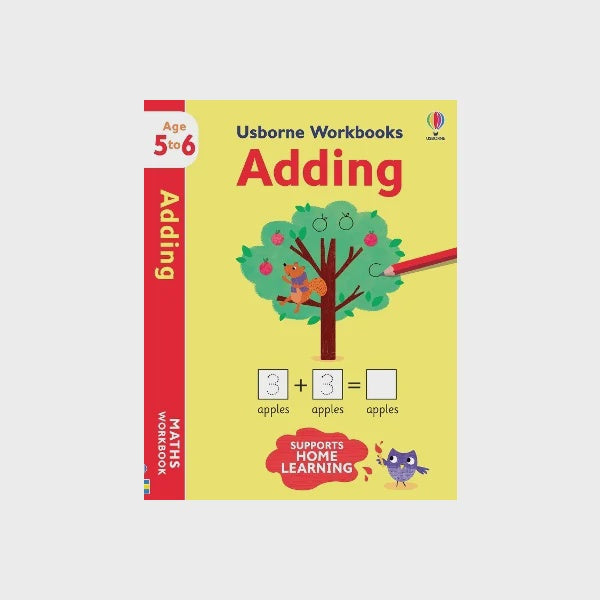Usborne Workbooks Adding 5-6