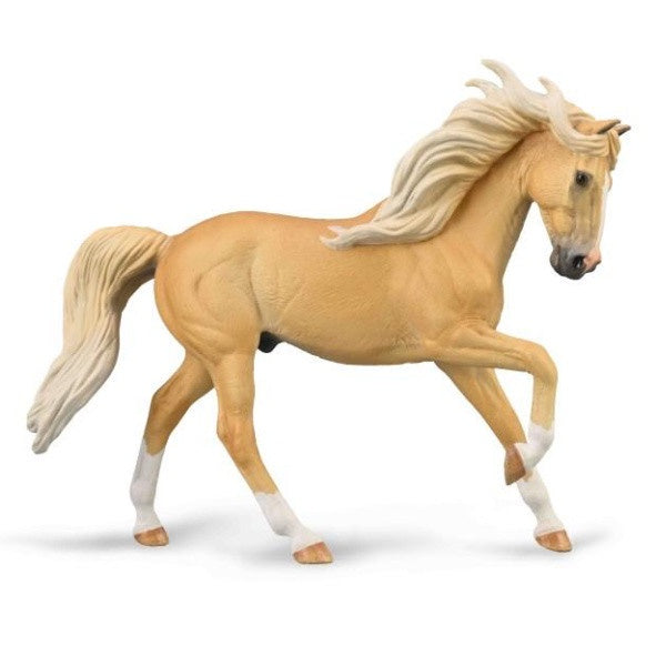Andalusian Stallion Palomino