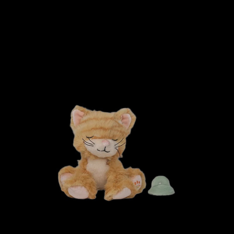 Binky Kitten Koda