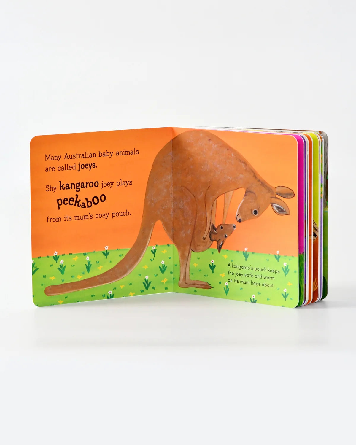 Australian Baby Animals, Book by Frane Lessac
