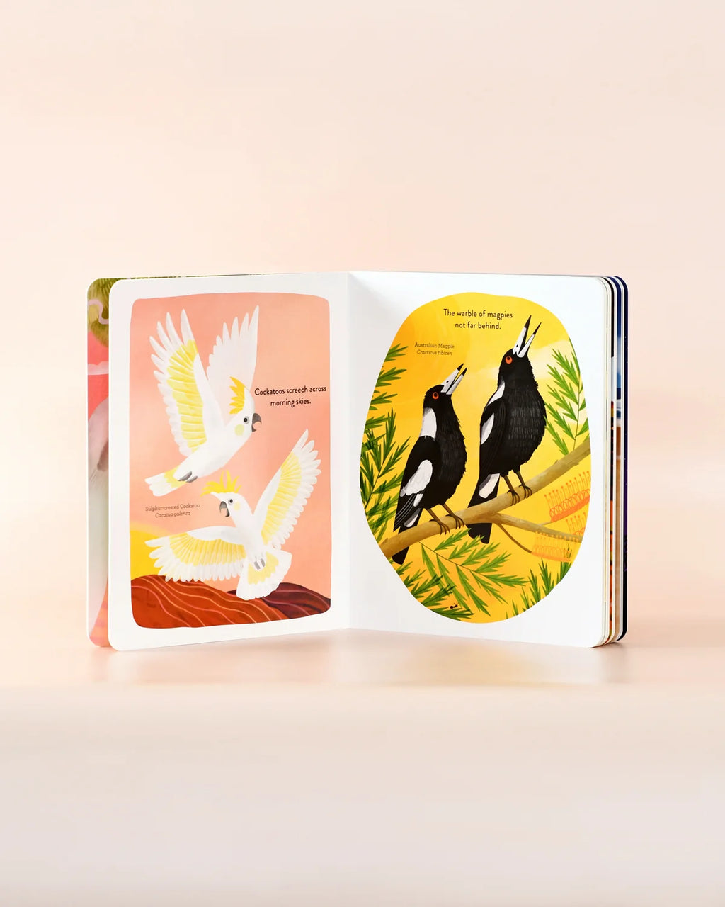 Busy Beaks, Book by Sarah Allen