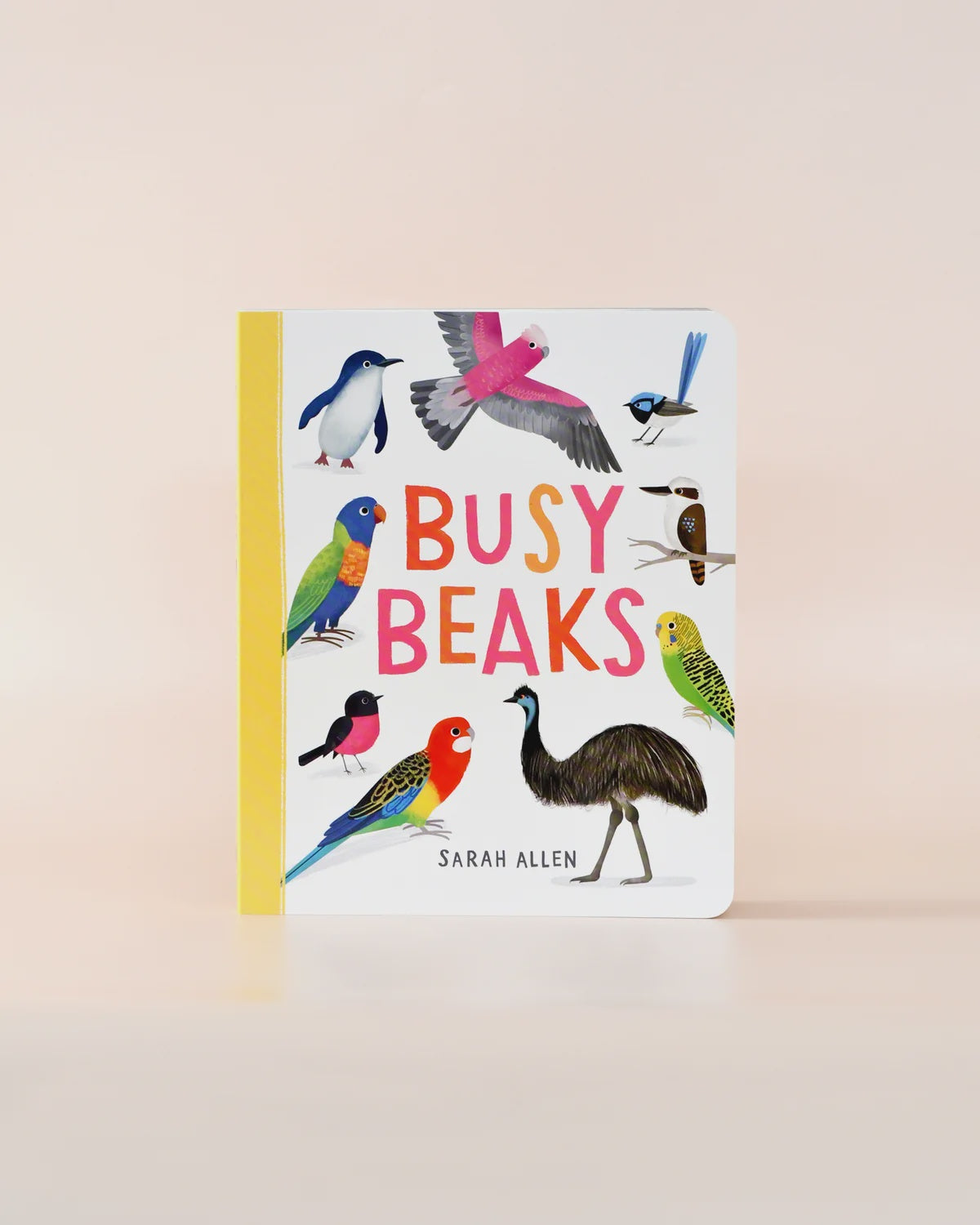Busy Beaks, Book by Sarah Allen