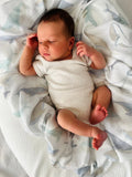 Cuddle Bug & Co Bamboo Muslin Wrap