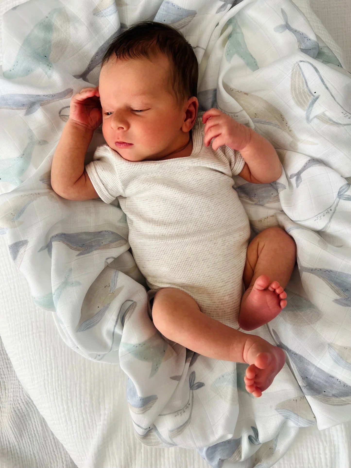 Cuddle Bug & Co Bamboo Muslin Wrap