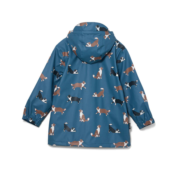 Play Jacket - Collies
