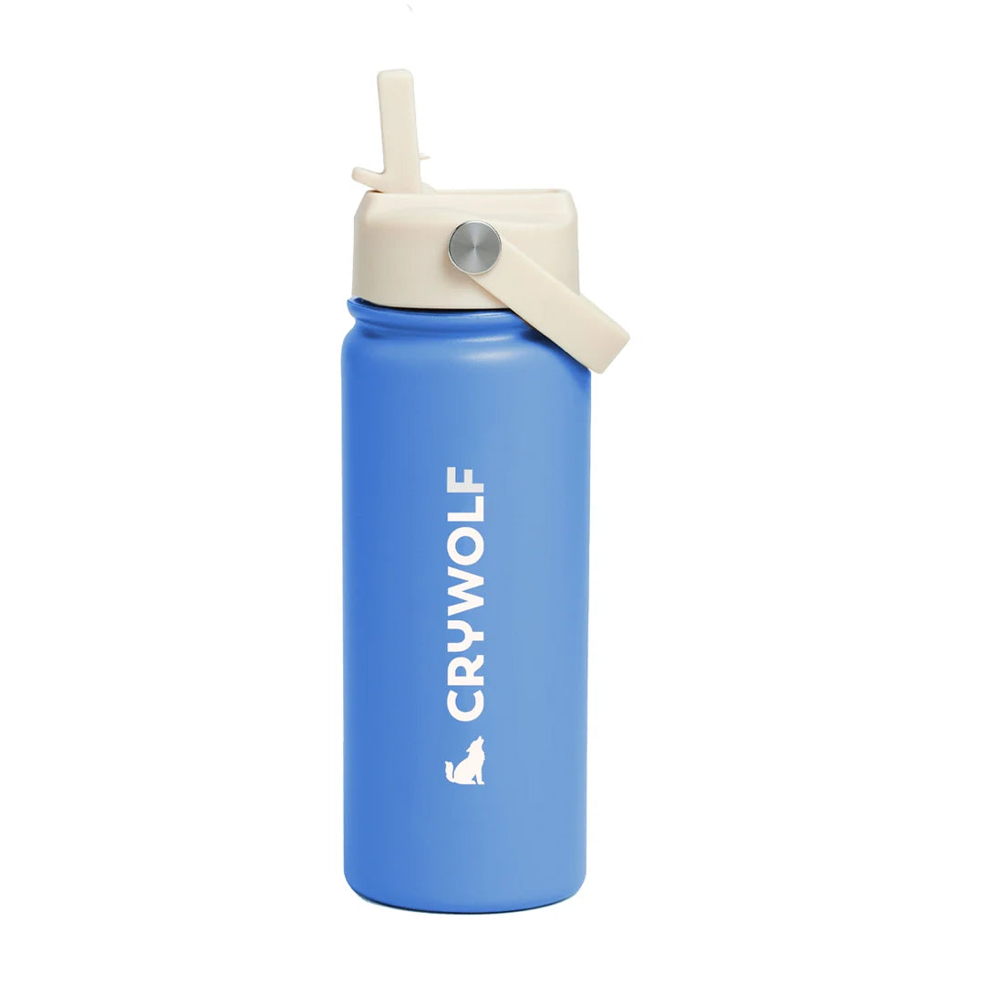 DRINK BOTTLE (545ml)