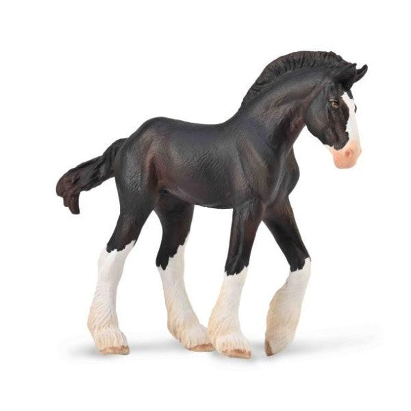 Clydesdale Foal Black