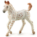 Knabstrupper Foal - Leopard Spotted