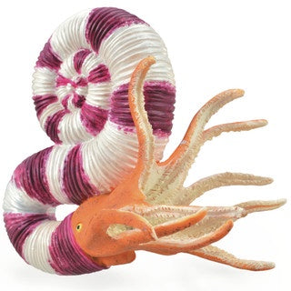 Pravitoceras - The Toy Station